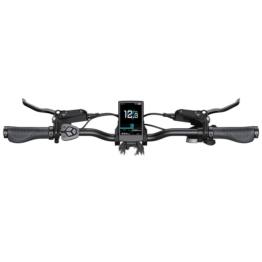 ENGWE L20 3.0 Pro noir 6/7