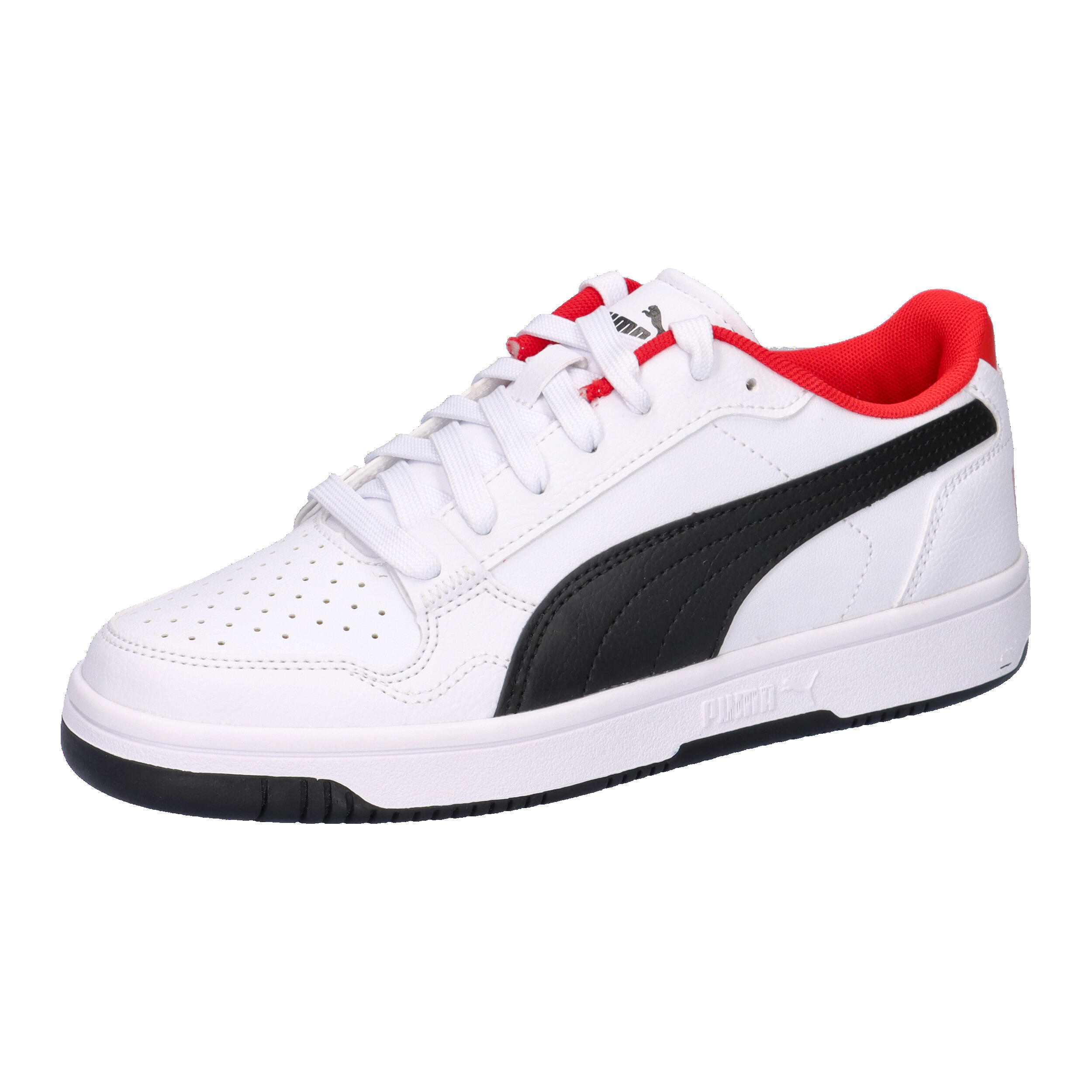 PUMA picture