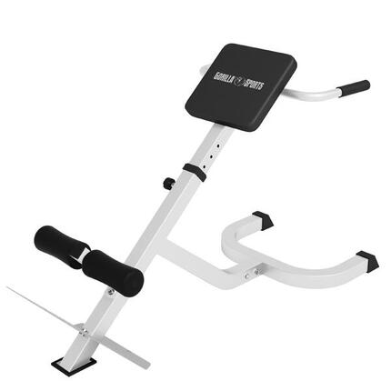 Rückenstrecker Gerät