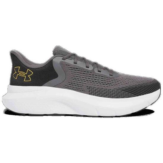 Zapatos de correr Under Armour Charged Rogue 5 Grise