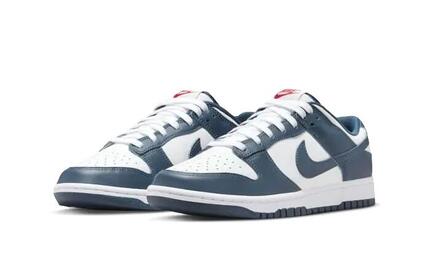Chaussures De Sport Homme Nike Dunk Low Retro