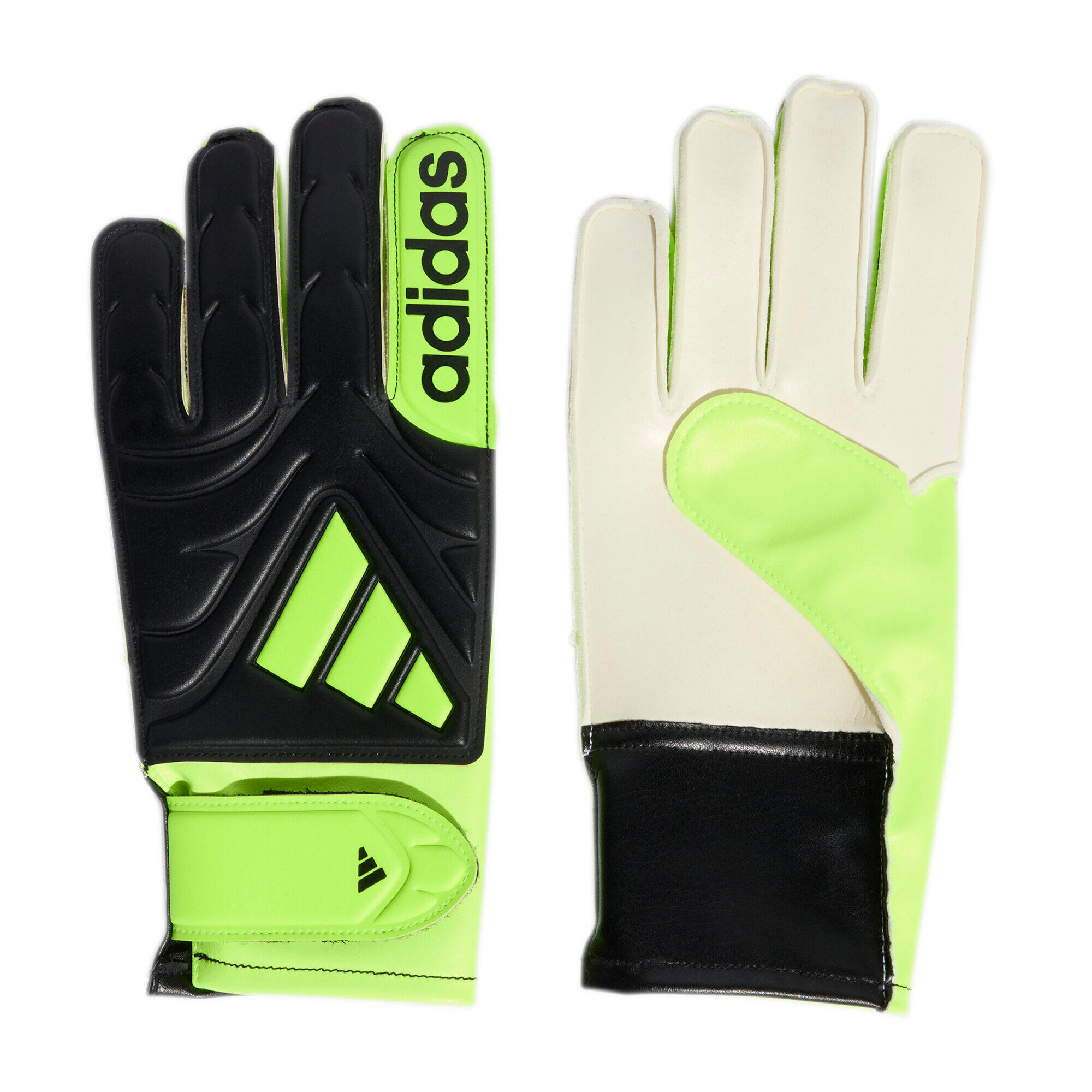 ADIDAS picture