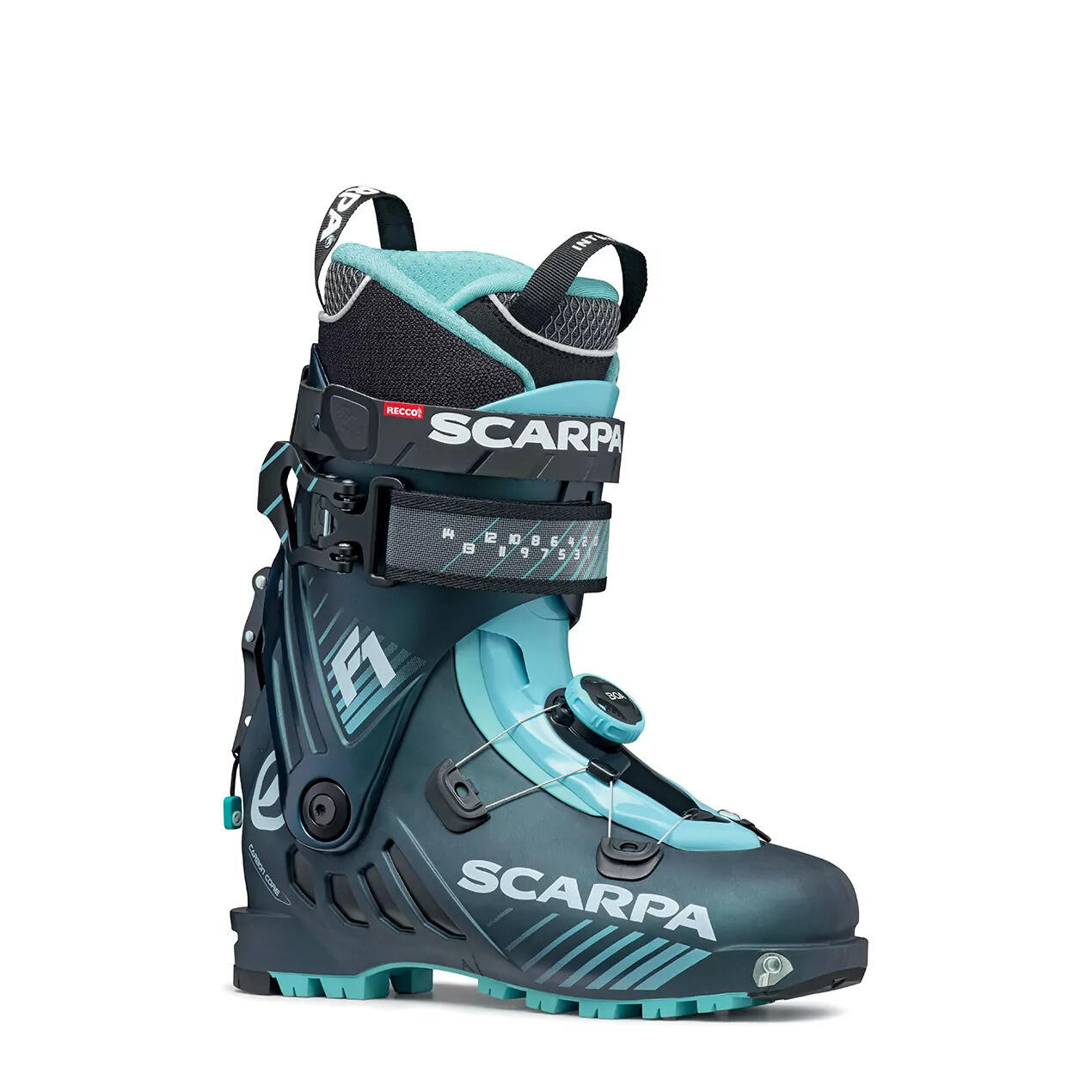 SCARPA picture