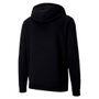 Felpa con cappuccio Puma team Goal 23 Casuals 6/6