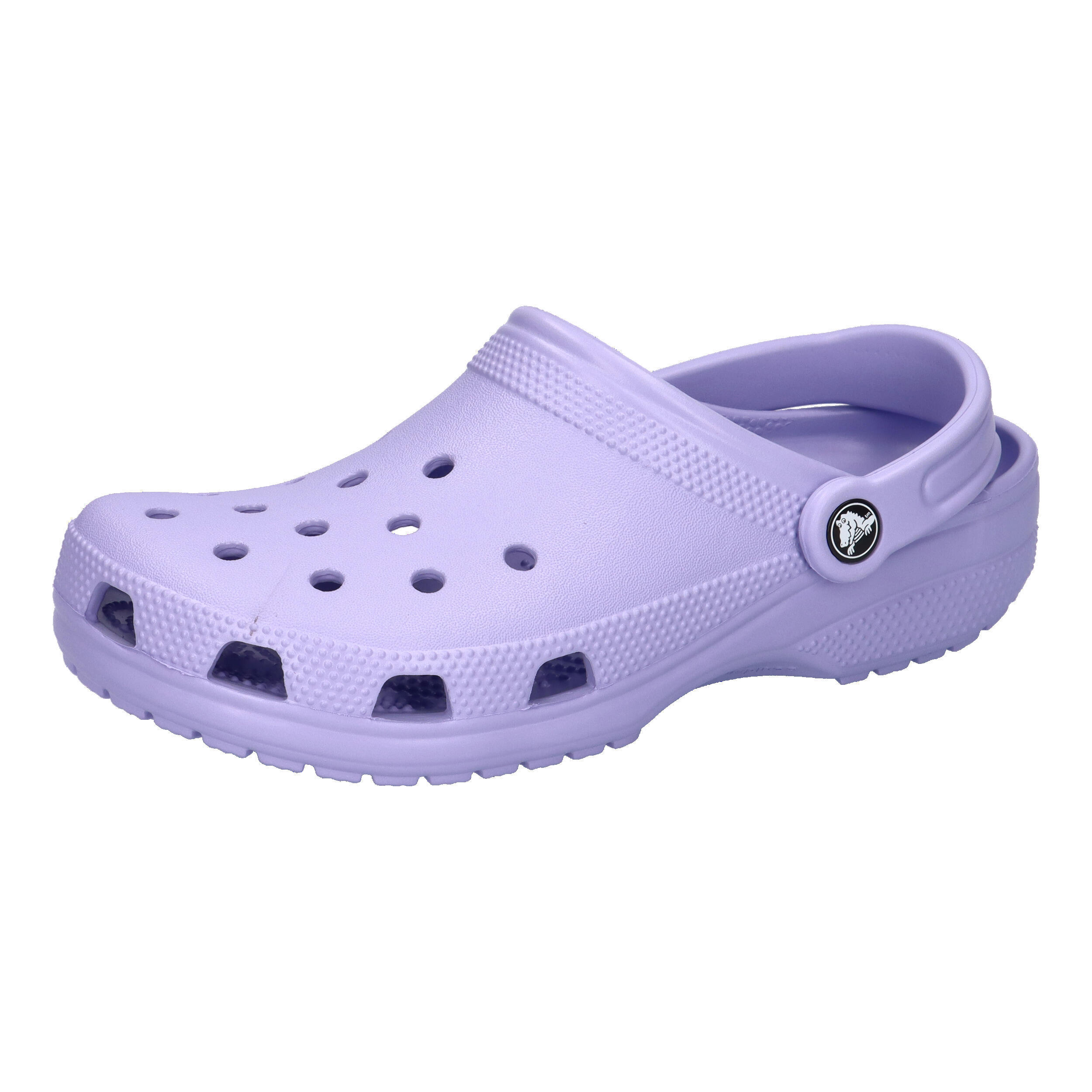 CROCS picture