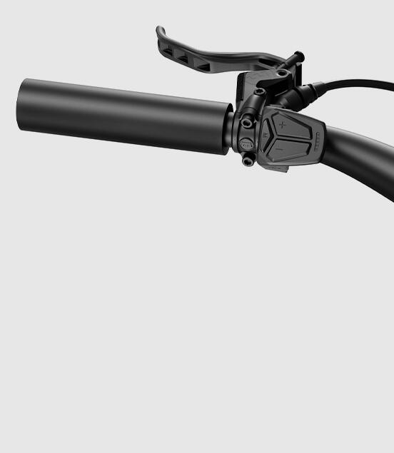 City E-Bike – Ultraleicht Carbon – N1 PRO – Wüstengrau 6/8