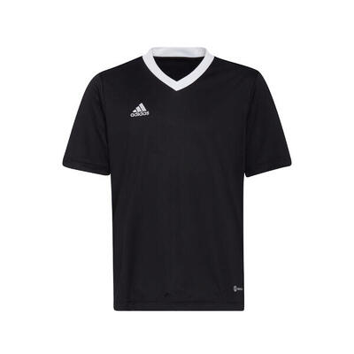 Adidas entrada22 jeugdshirt voor jongens en meisjes - team grijs vier