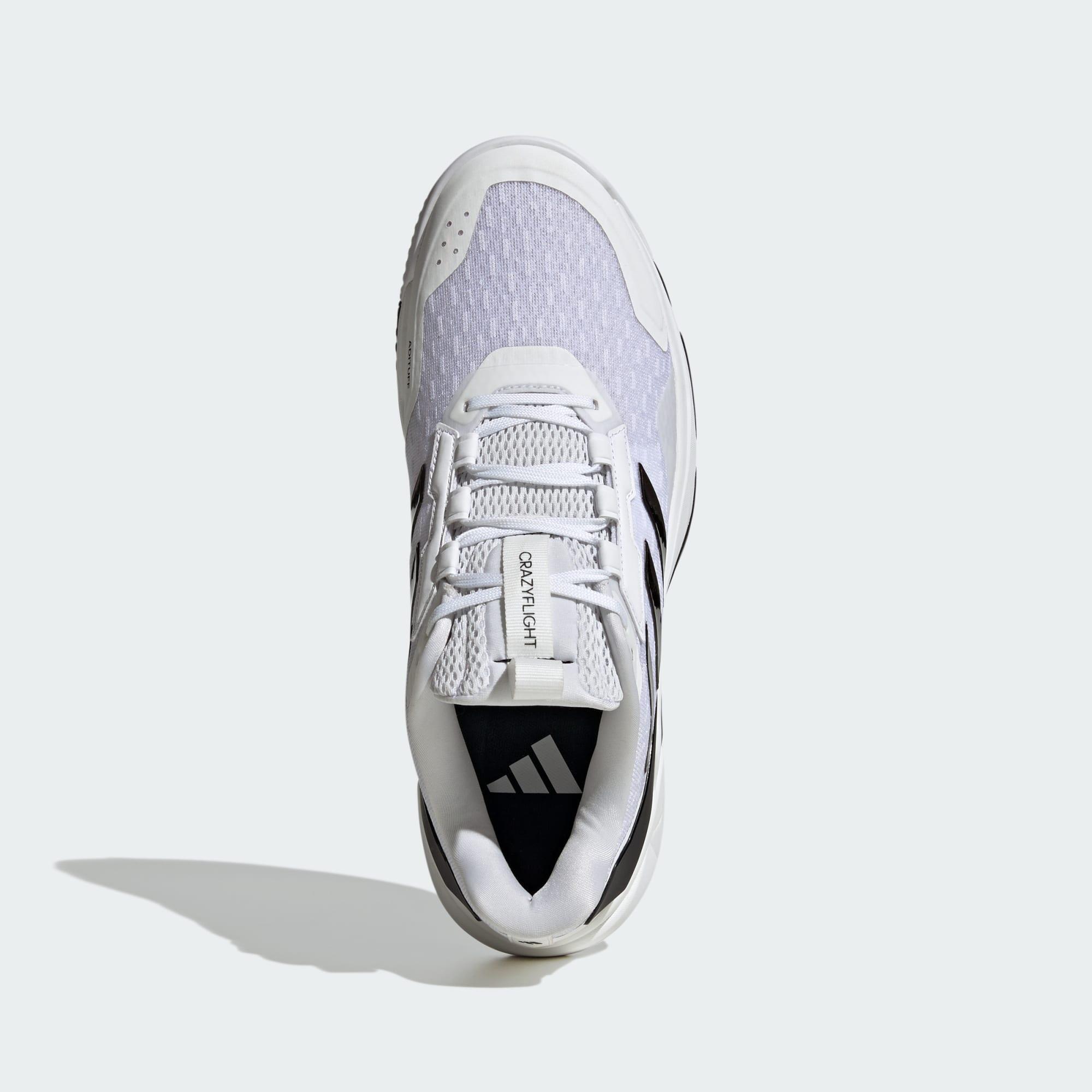 Chaussure Crazyflight 6 Indoor 7/15