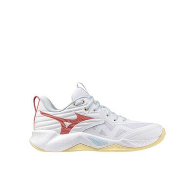 Mizuno Wave Momentum Pro.