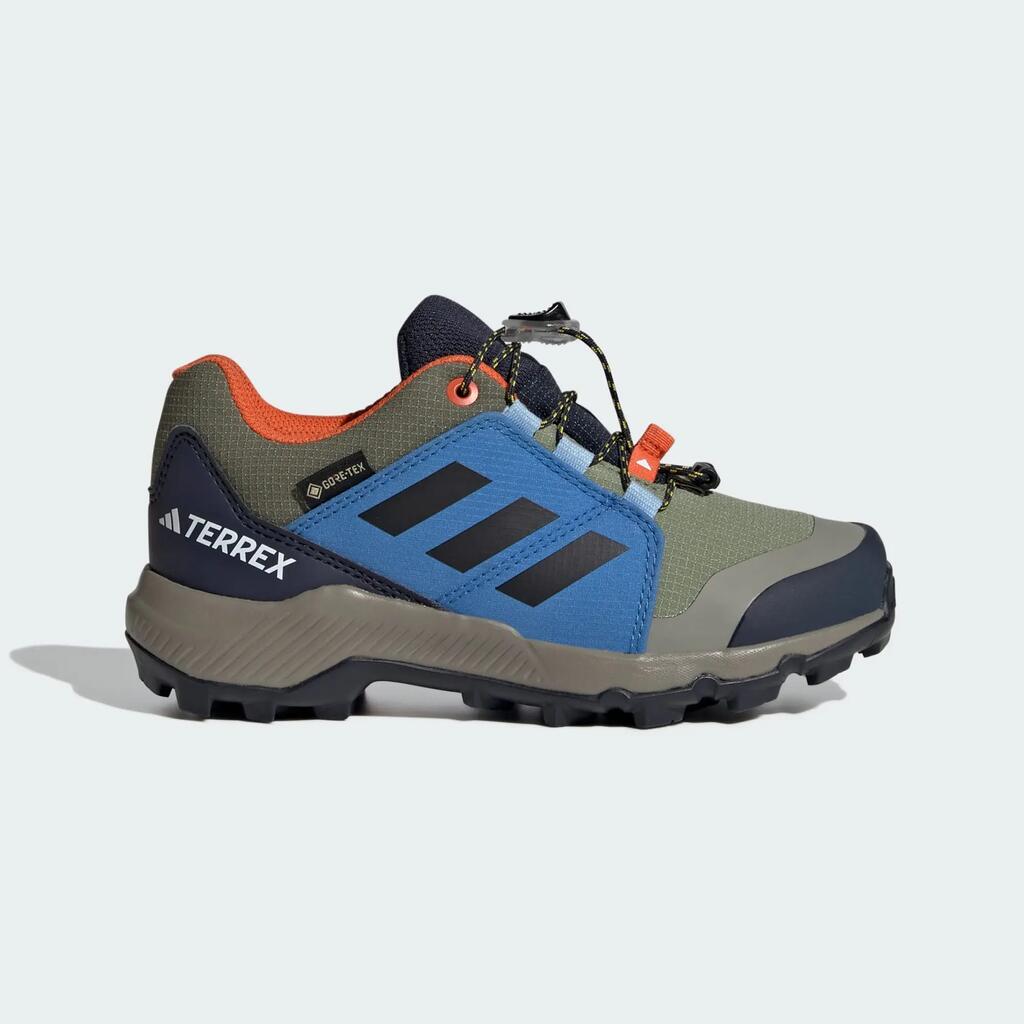 Terrex GORE-TEX Hiking Shoes