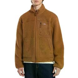 Veste Dickies Modèle Mount Hope Couleur Marron