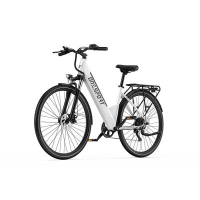Ot12 e-bike voor volwassenen: 250w, 36v 13ah, stads e-bike