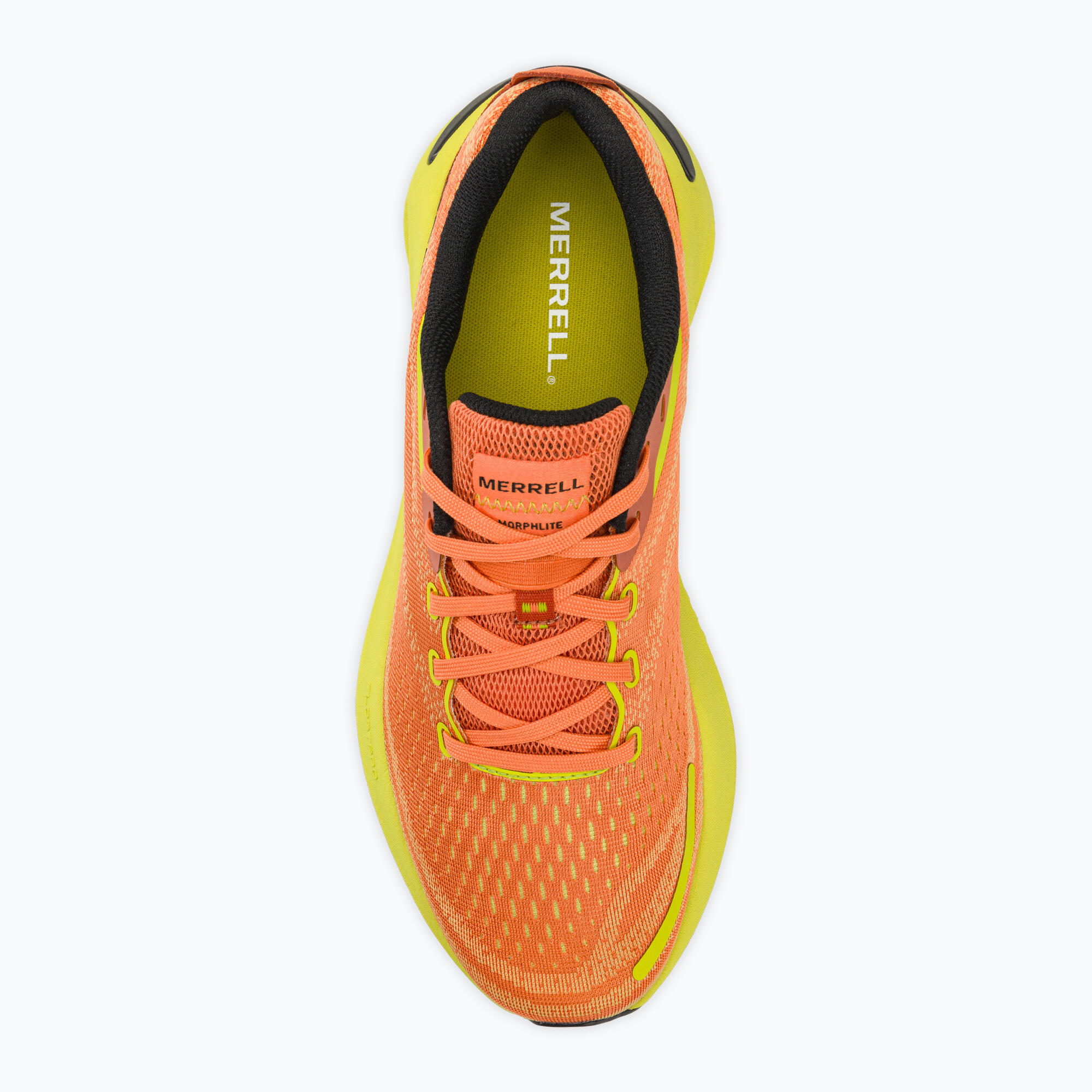 Chaussures de course pour hommes Merrell Morphlite 5/5