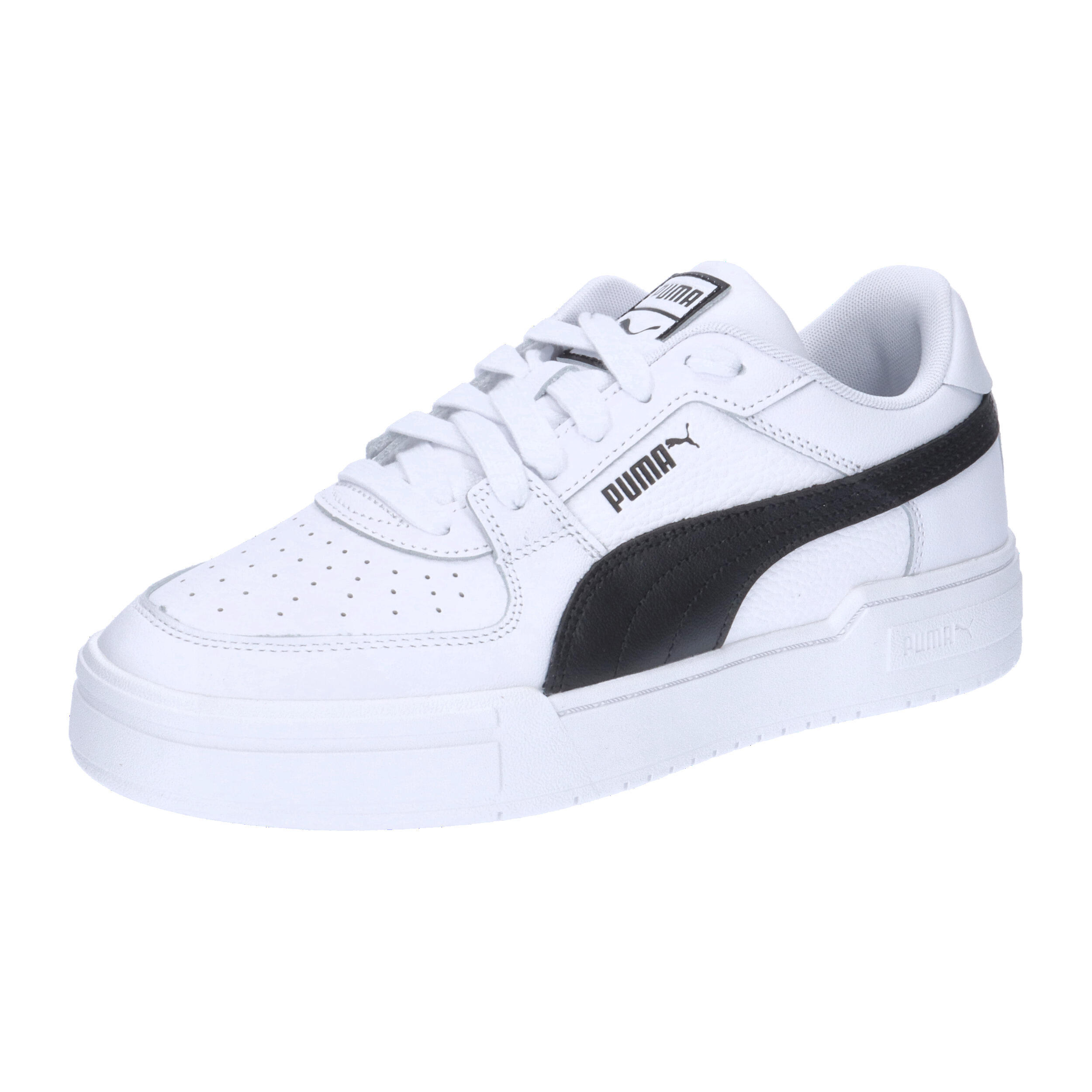 PUMA picture