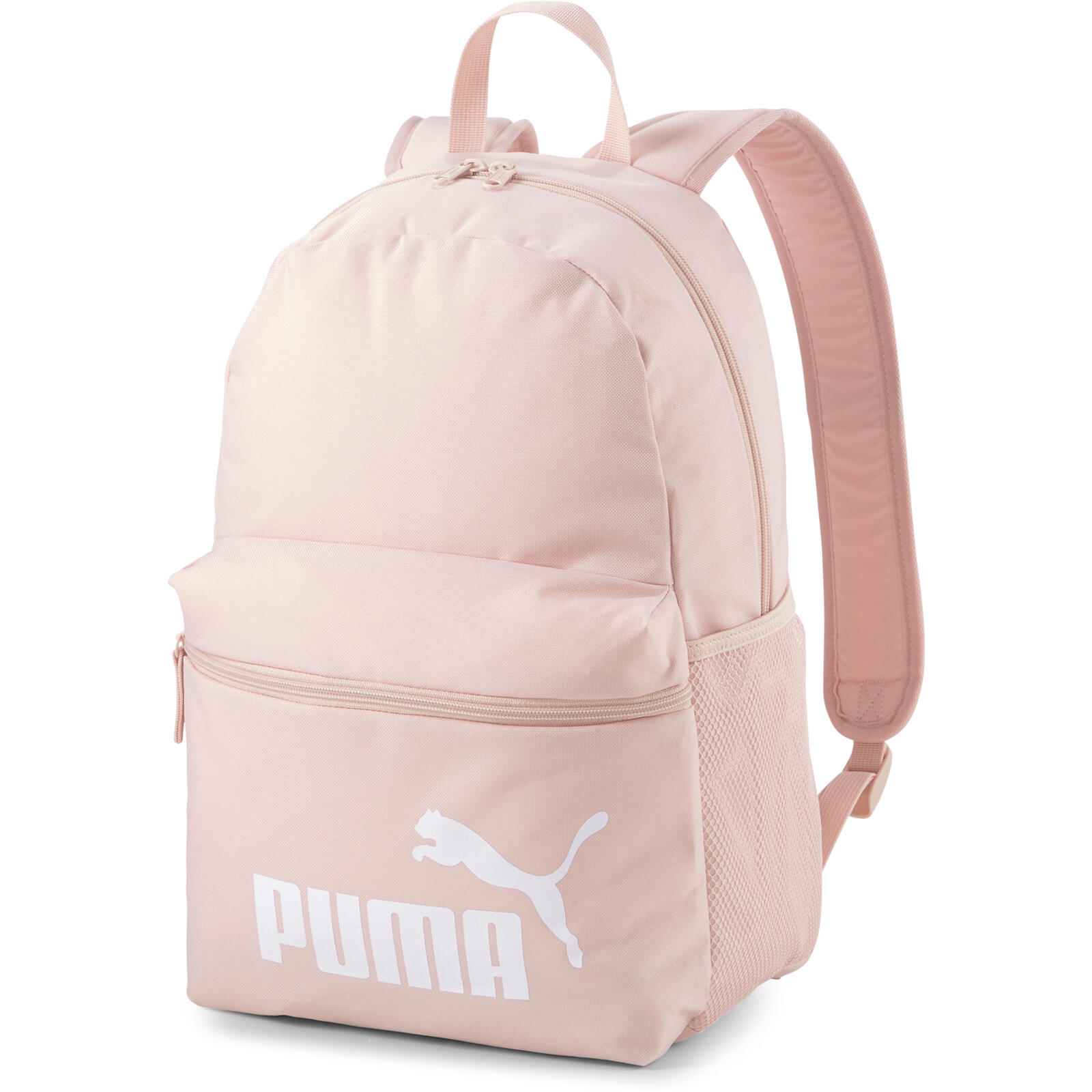 PUMA picture
