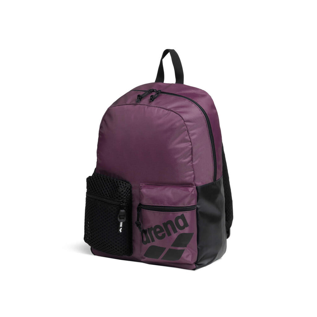 PURPLE / BLACK