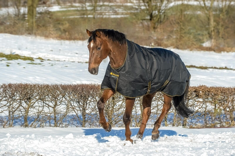 Manta de exterior para caballos Bucas Irish 300g High Neck 1200D 3/3