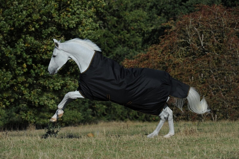 Couverture d'extérieur pour cheval Bucas Irish 300g 1/3