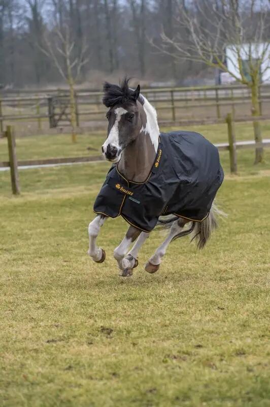 Couverture d'extérieur pour cheval imperméable Bucas Irish Turnout 300g 2/3