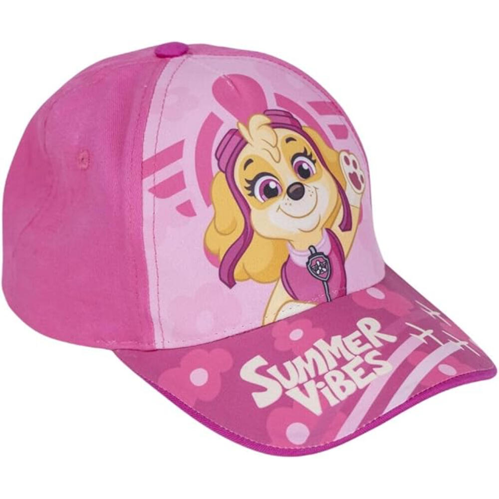 PAW PATROL picture