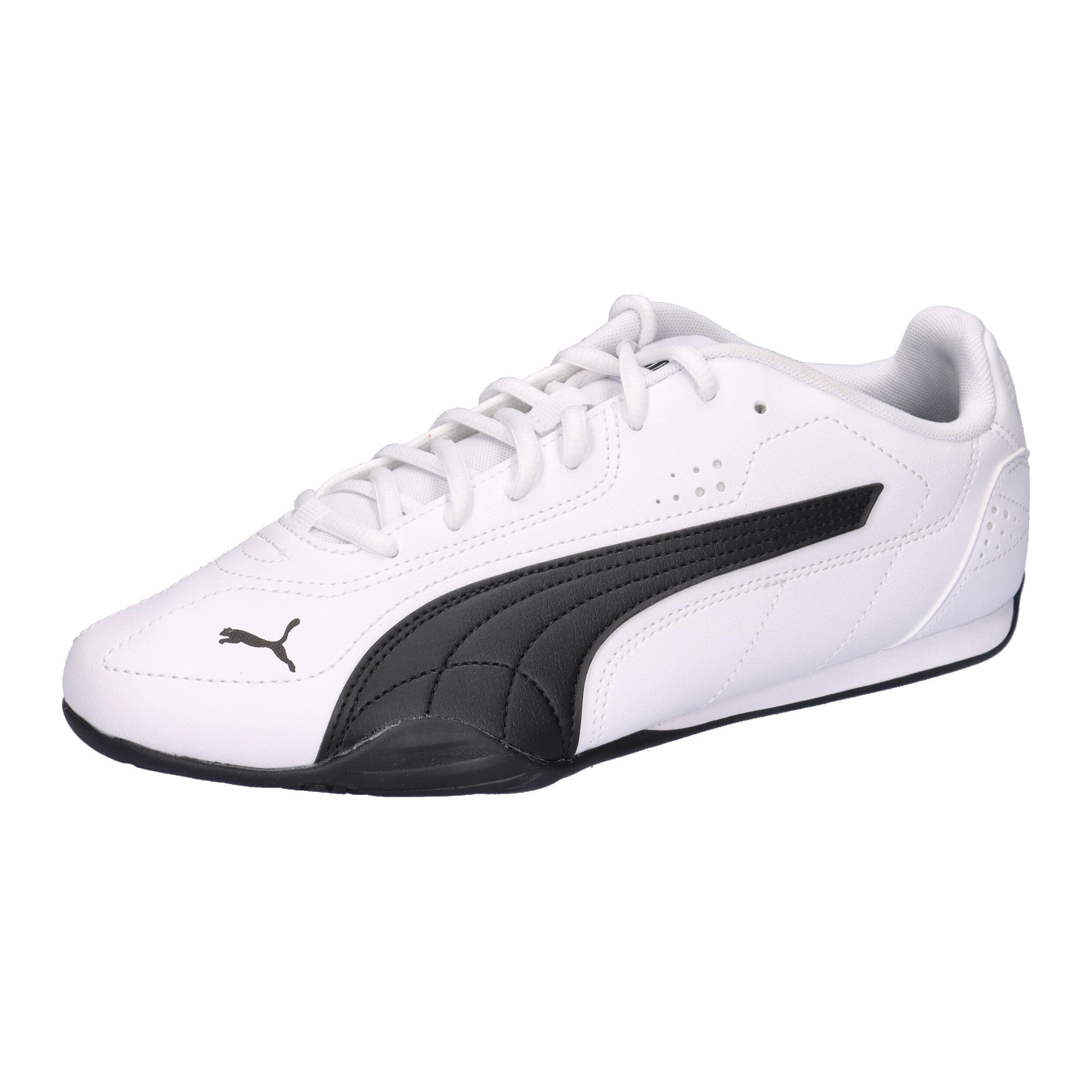 PUMA picture