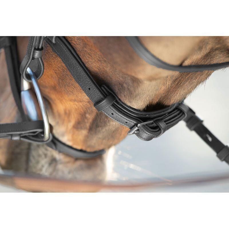 Zaumzeug Reiten HFI Soft 3/5