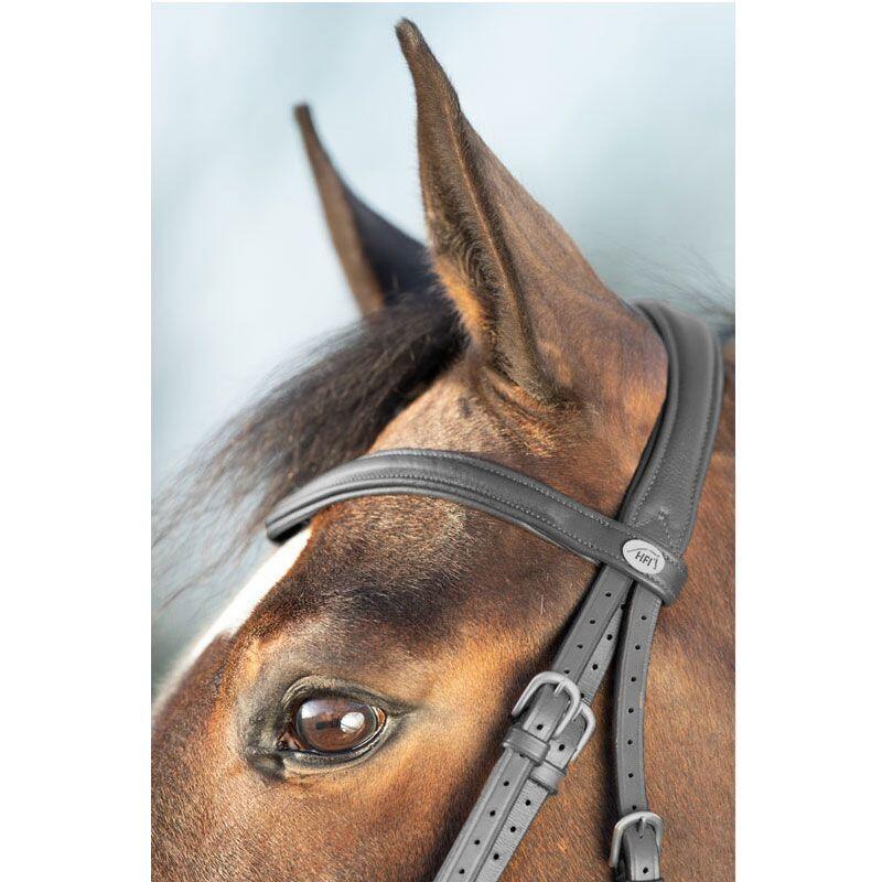 Zaumzeug Reiten HFI Soft 5/5
