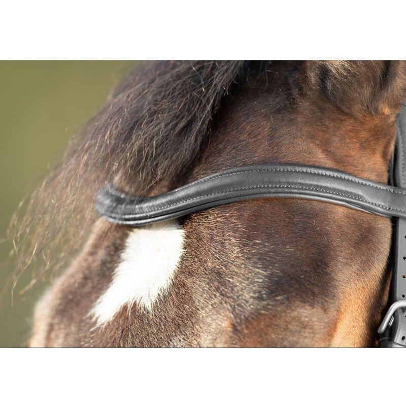 Zaumzeug Reiten HFI Soft 4/5