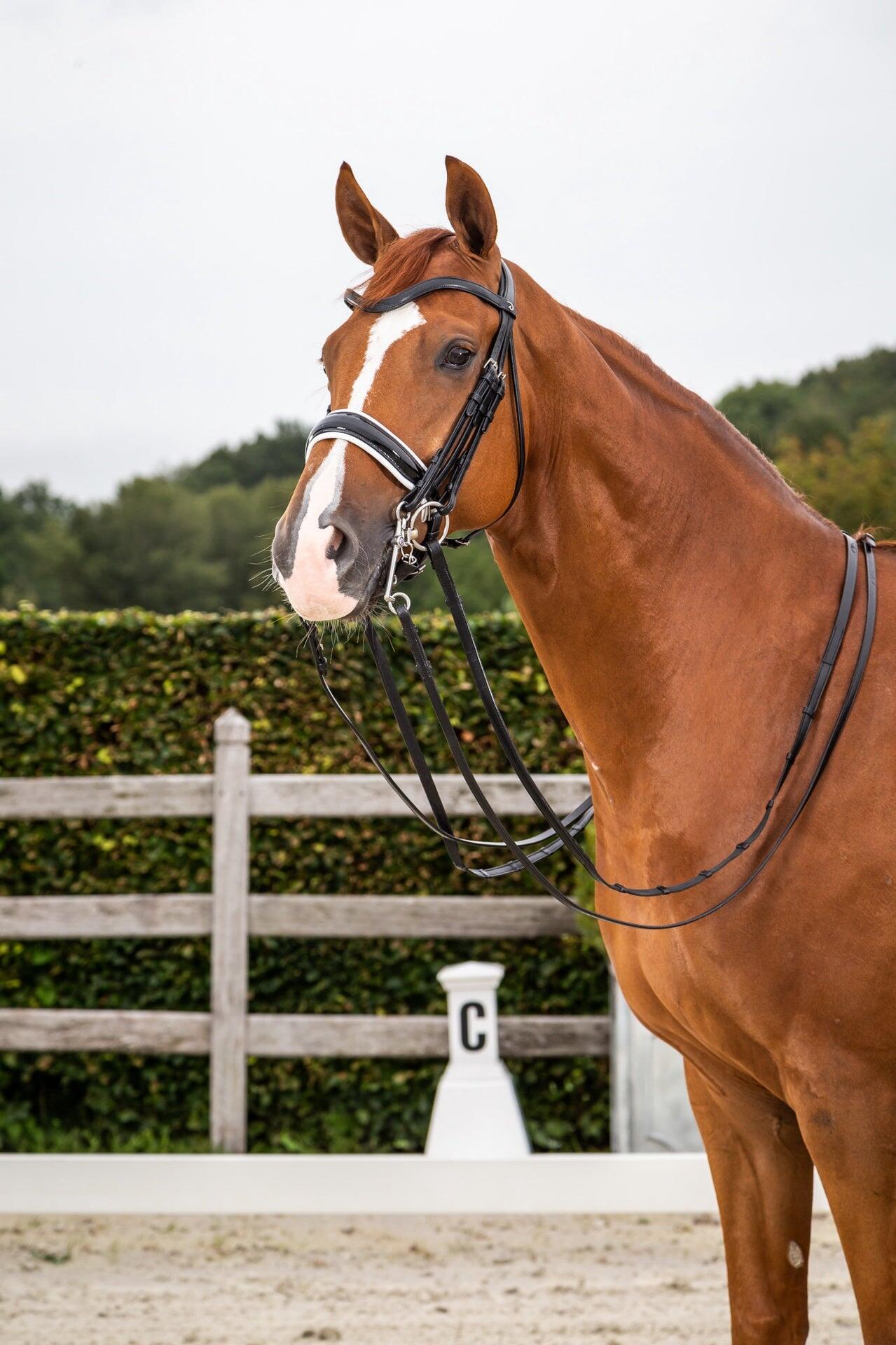 Dy'on Patent Large Crank Noseband White Pad. - New English Zwart - 3/3