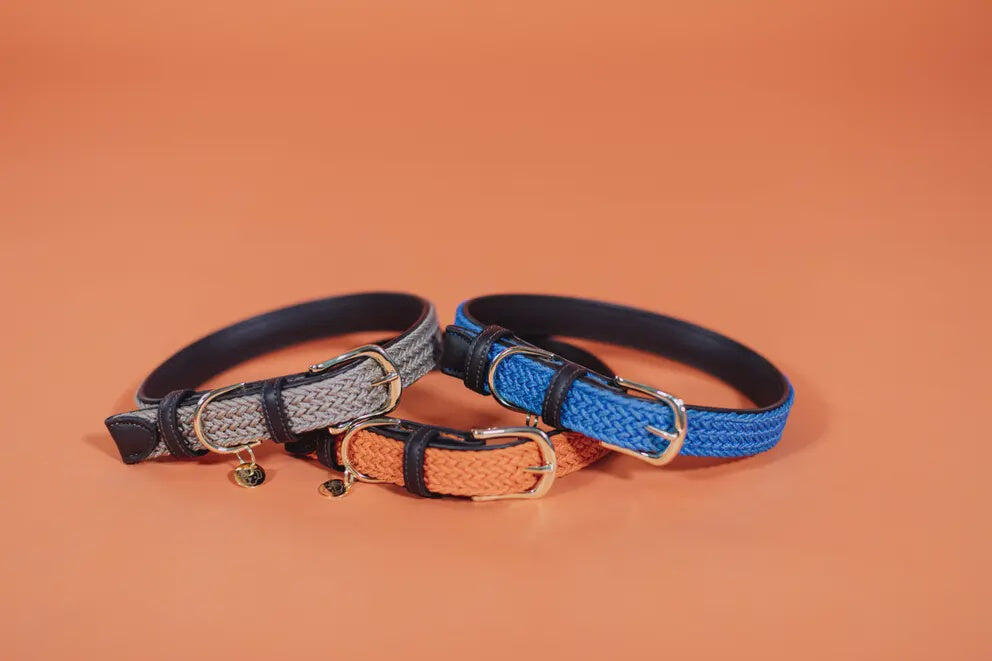 Geflochtenes Nylon-Halsband für Hunde Kentucky 5/7