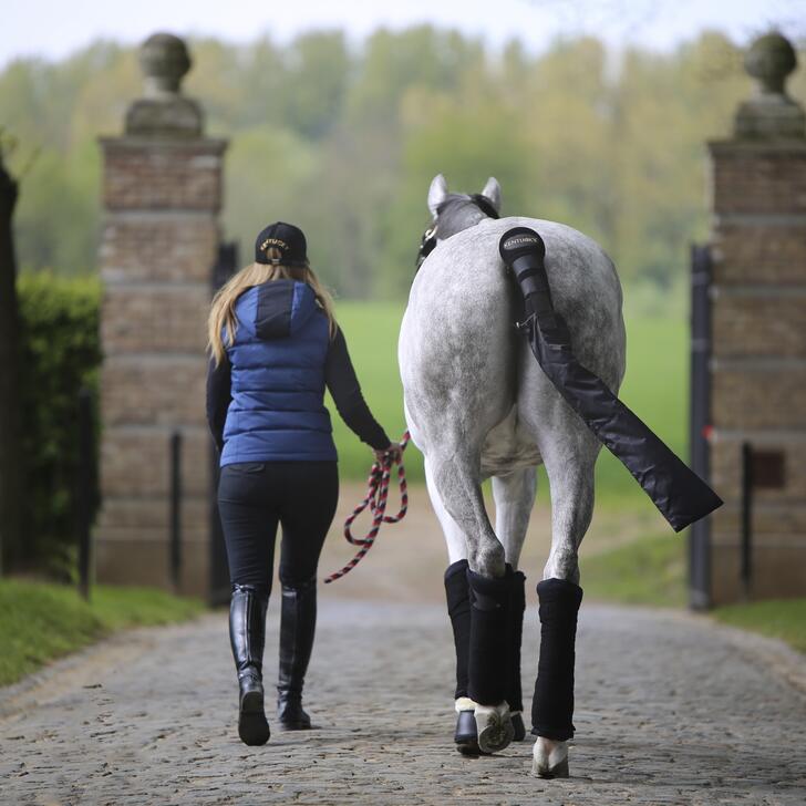 Set van 4 Amerikaanse onderleggers Kentucky Stable 5/7