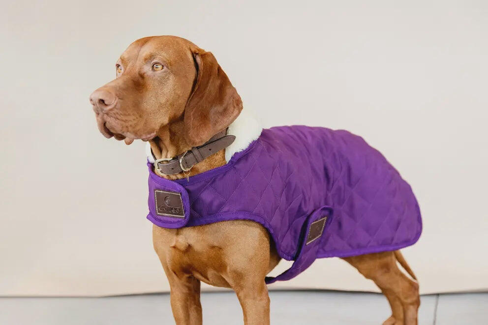 Manteau pour chien Kentucky Original 160g 7/7