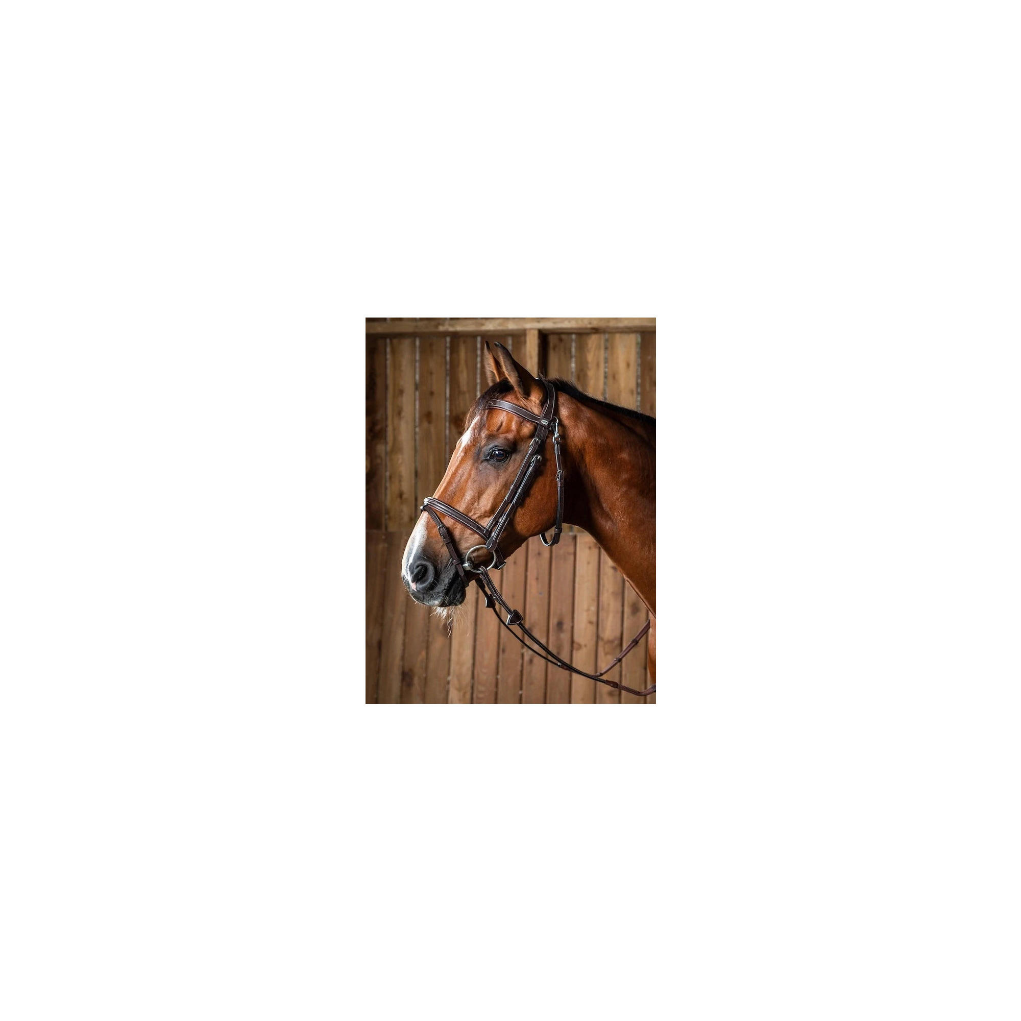 Dy'on Flash Noseband Hoofdstel With Snap Hooks Working Coll. Zwart -