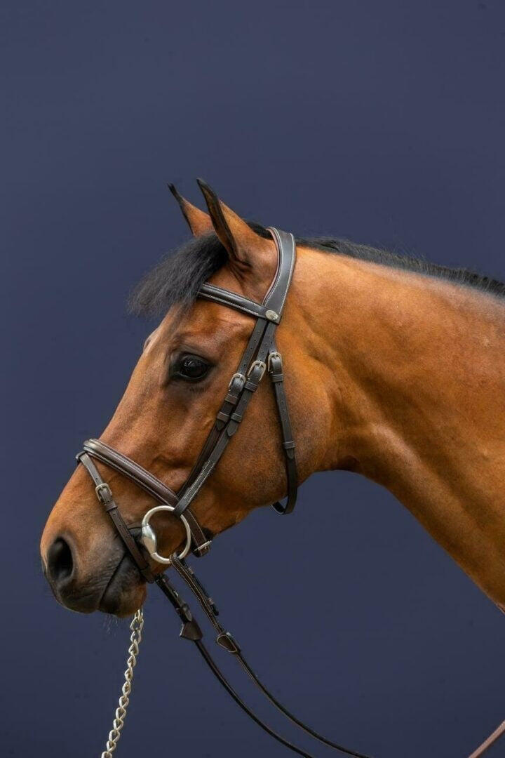 Dy'on Flash Noseband Hoofdstel Working Collection Zwart - 4/4