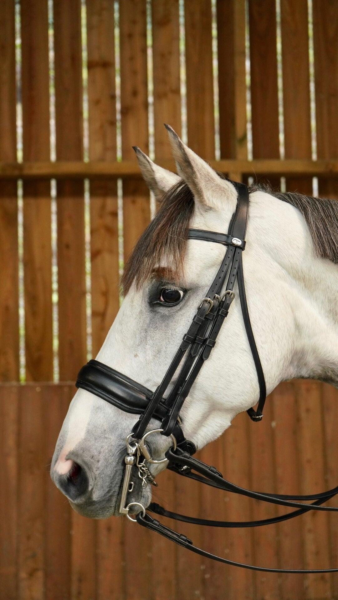 Dy'on Matte Large Crank Noseband Stang & Trens Working Zwart - 3/3