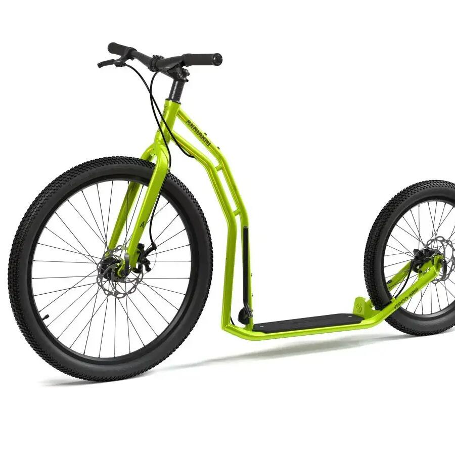 Scooter  Arni  Grün