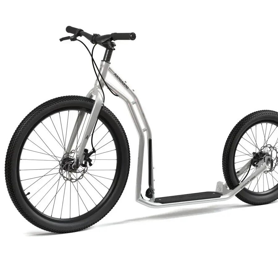 Scooter  Arni  Silver