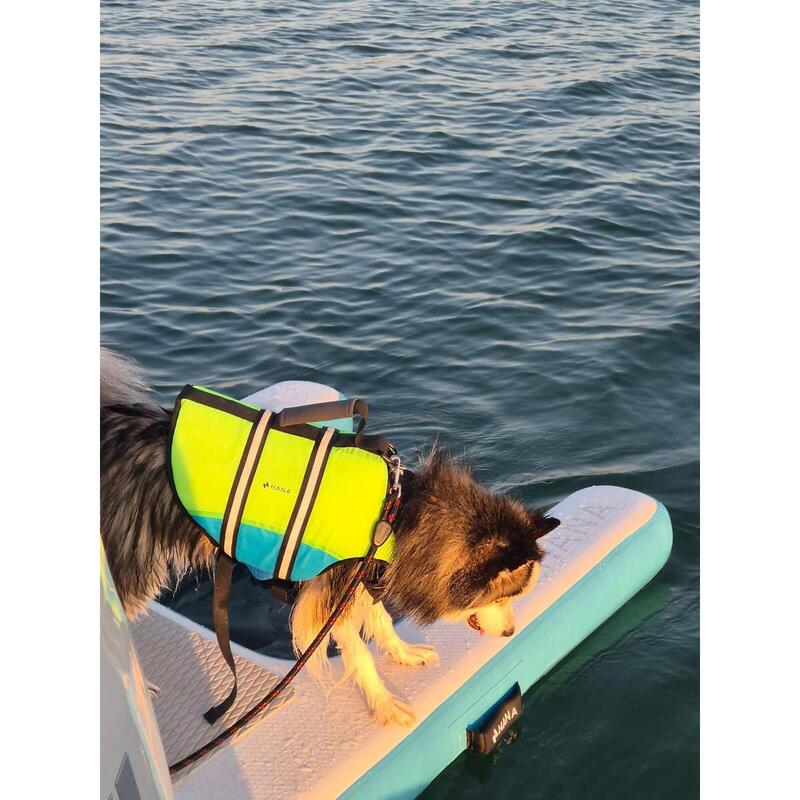 Gilet de sauvetage pour chien -XL MCBOSON