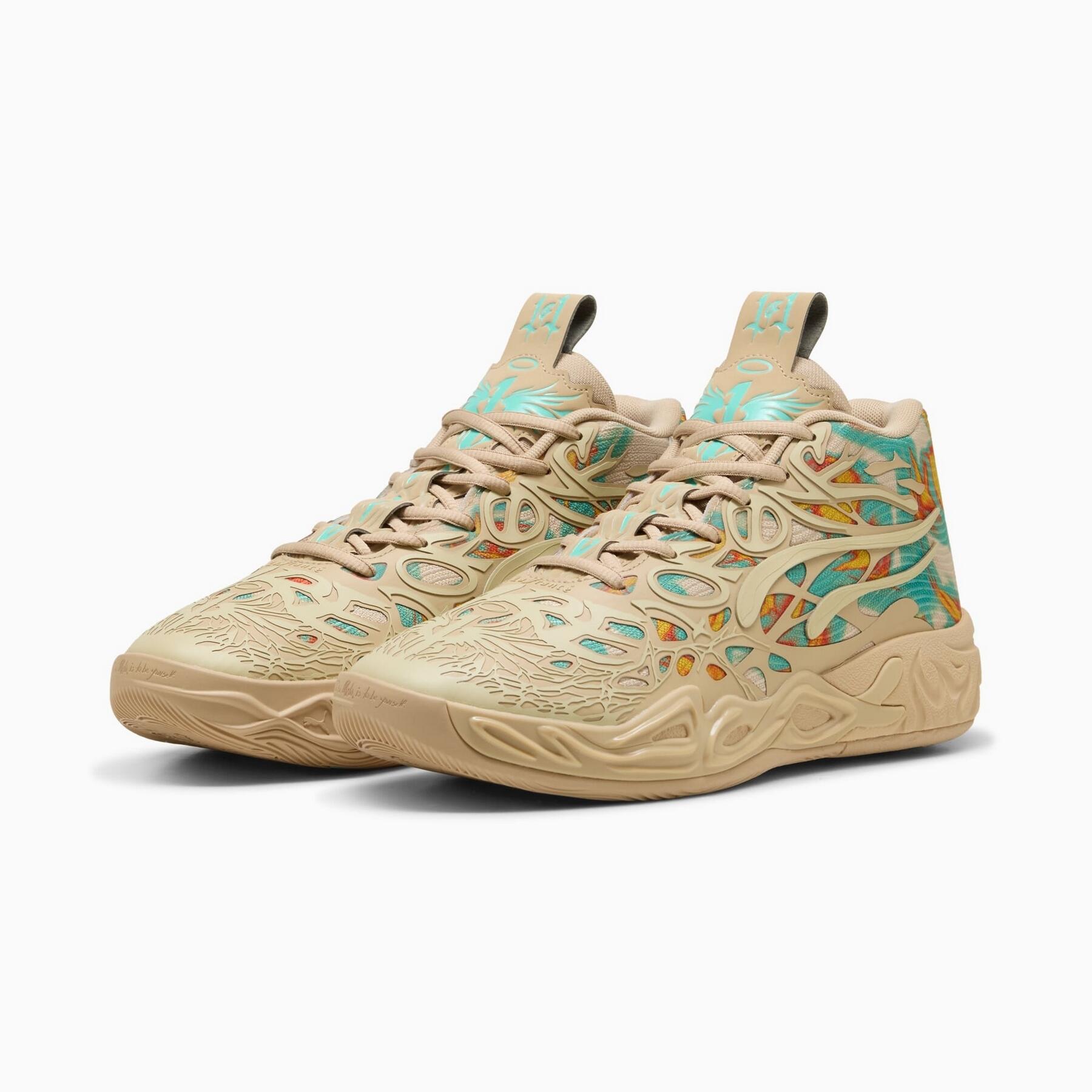 PUMA picture