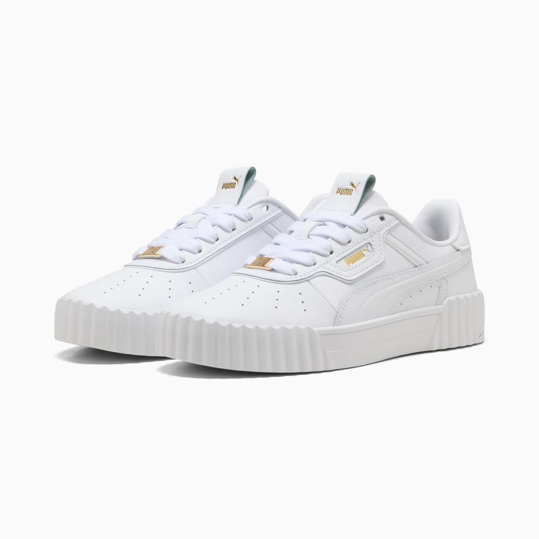 PUMA picture