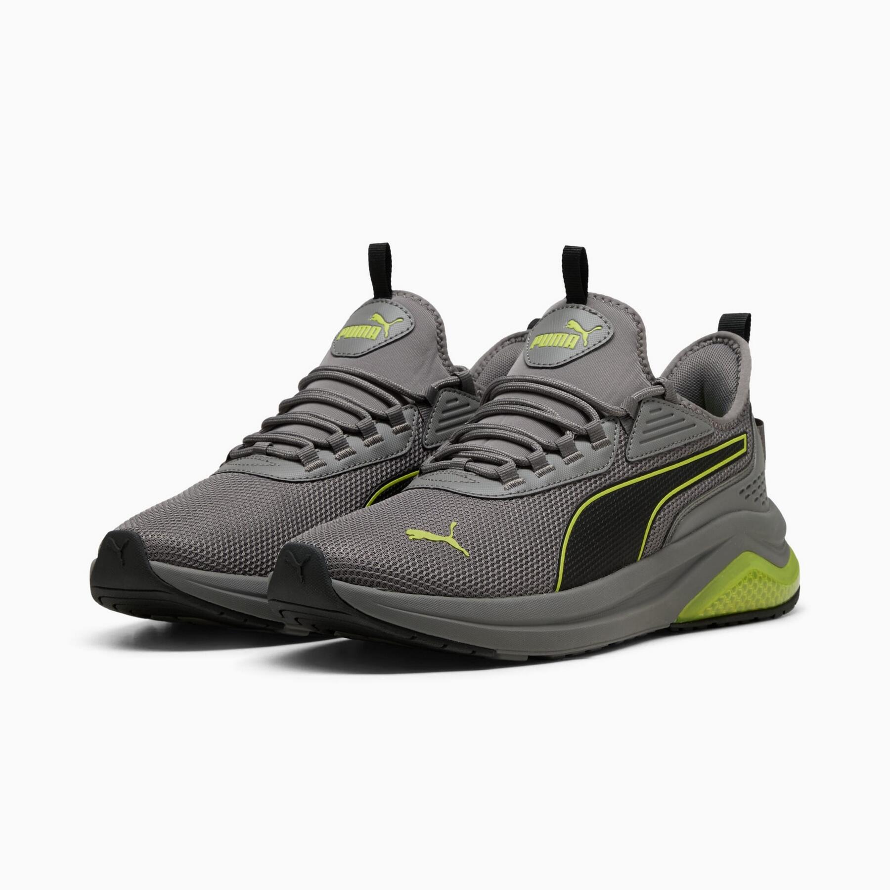 PUMA picture