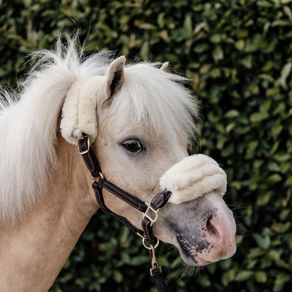 Licol Cuir Sheepskin Pony 3/4
