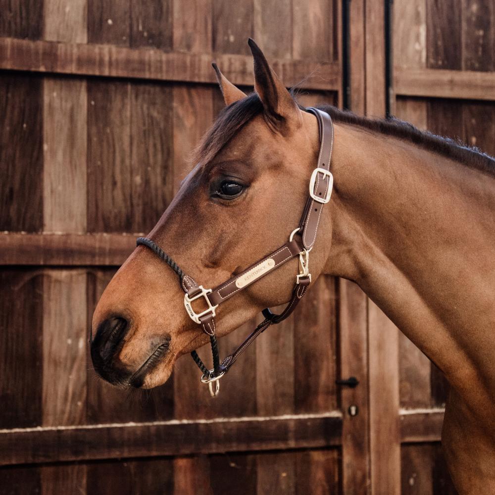 Cabezada Cuadra de cuero para caballos Kentucky Rope 3/4