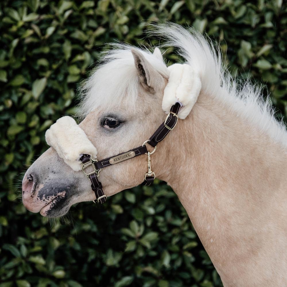 Licol Cuir Sheepskin Pony 4/4