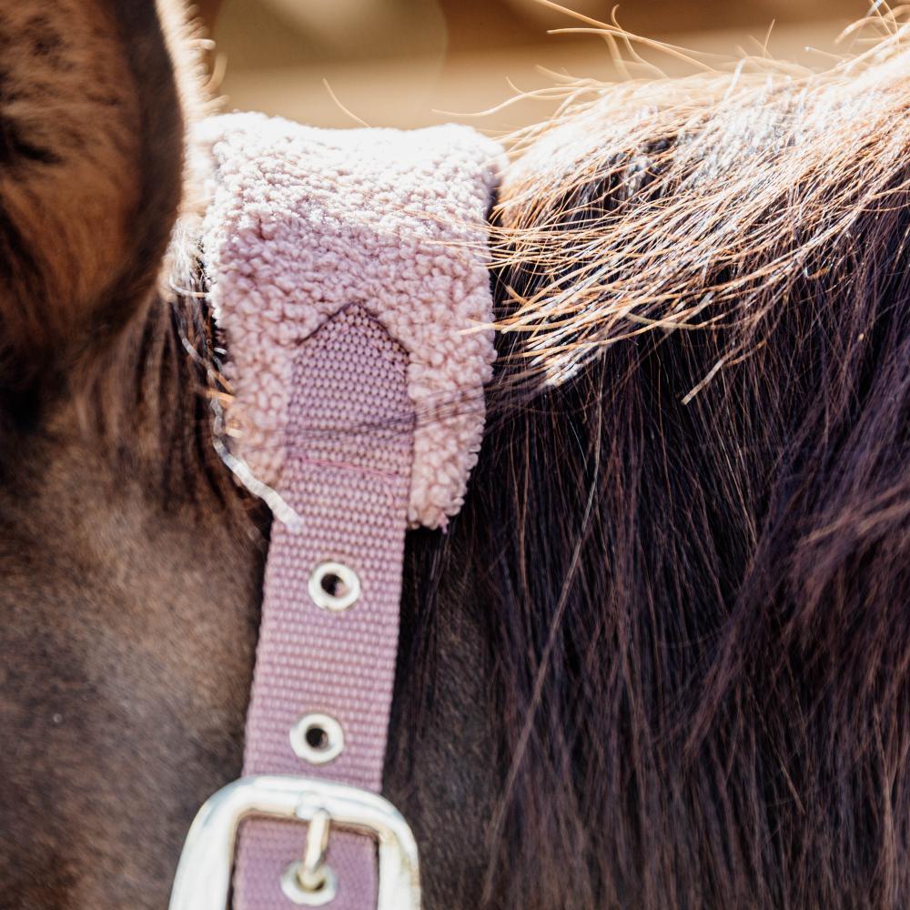 Teddy fleece halster oud roze Pony 5/5