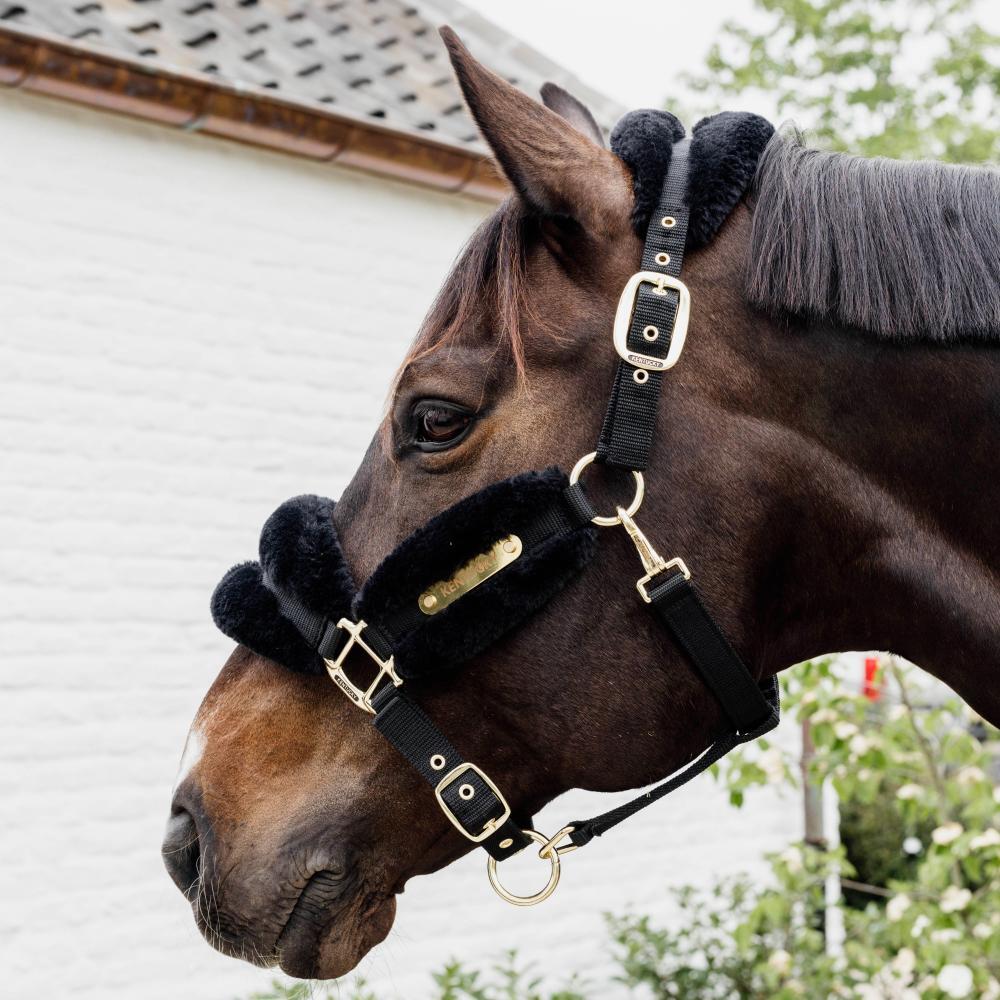 Licol nylon mouton soft noir pony 3/5
