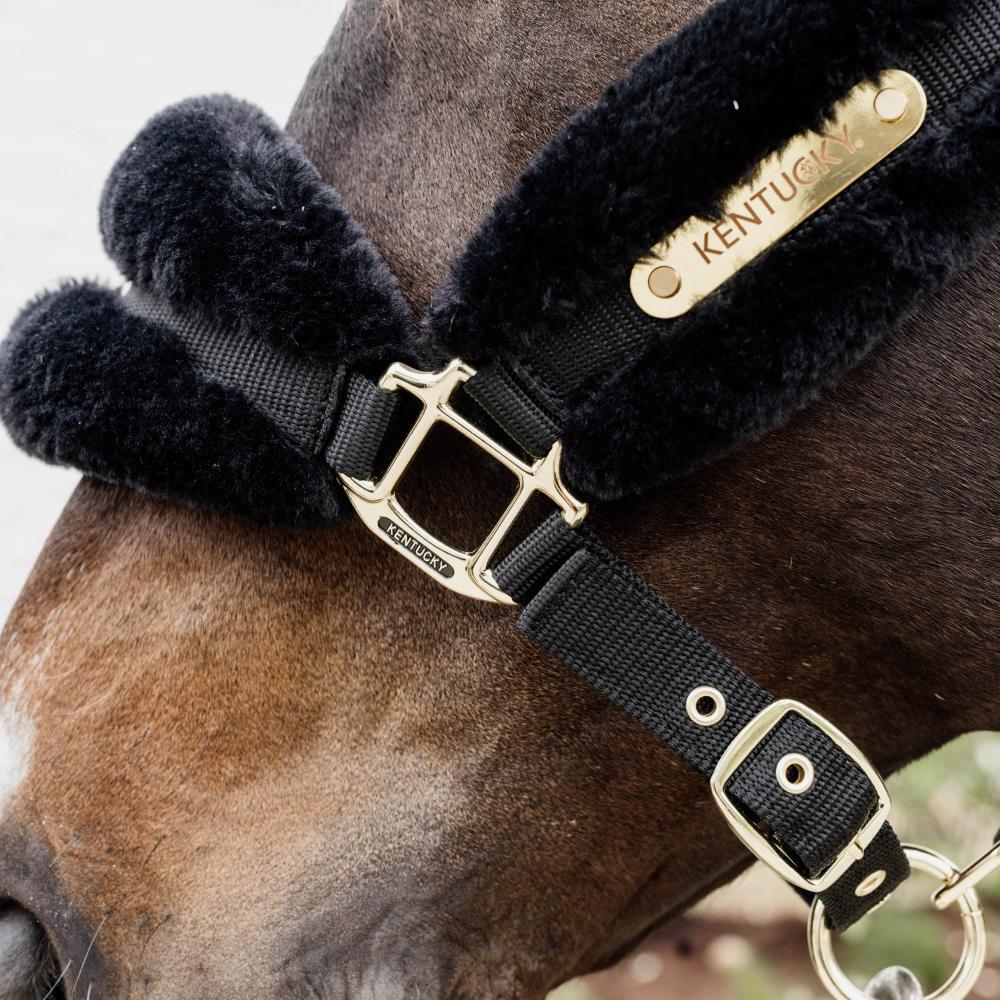 Licol nylon mouton soft noir pony 4/5