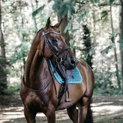 Tapis de selle velours orange pony