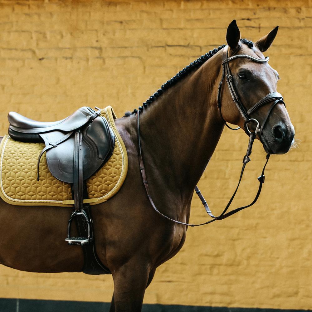 Satteldecke für Pferde Kentucky Velvet 3/5
