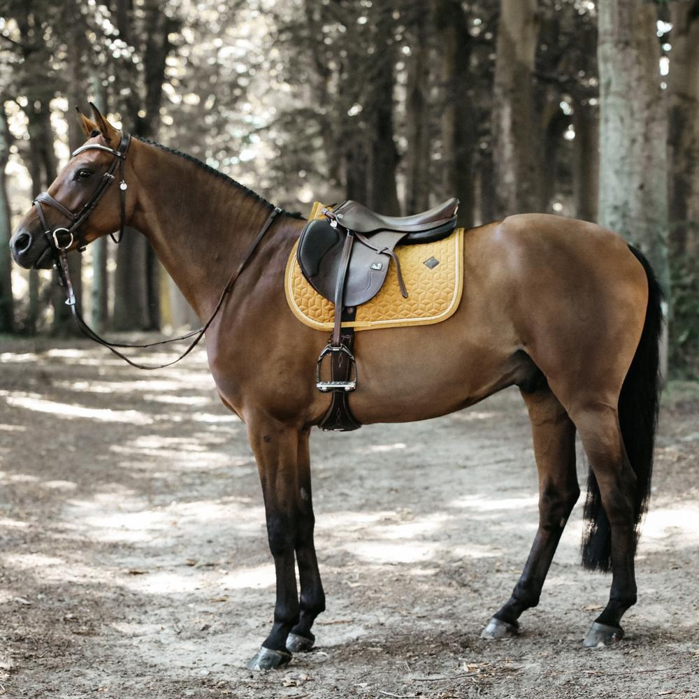 Satteldecke für Pferde Kentucky Velvet 5/5